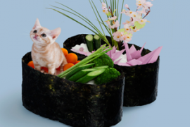 Neko Sushi, Sushi Kucing yang Unik