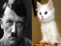 Kucing – Adolf Hitler