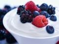 Yogurt