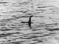 Loch Ness Monster