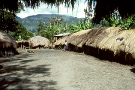 Kehidupan di Lembah Baliem, Papua