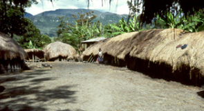 Kehidupan di Lembah Baliem, Papua