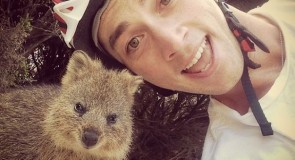 Quokka, Binatang Imut yang Hobi Selfie